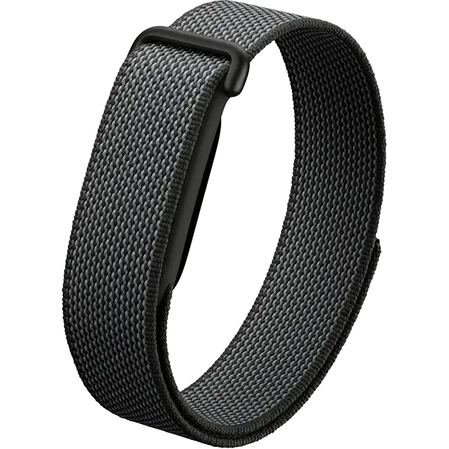 Google Fitbit Air